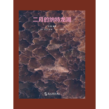 二月的纳特龙湖 pdf epub mobi 下载