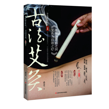 古法艾灸 pdf epub mobi 下载
