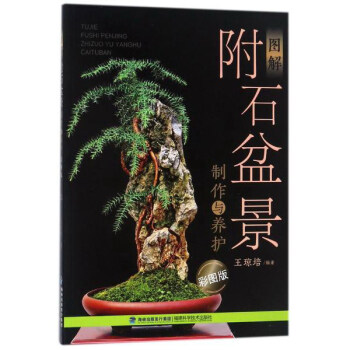 圖解附石盆景製作與養護(彩圖版)