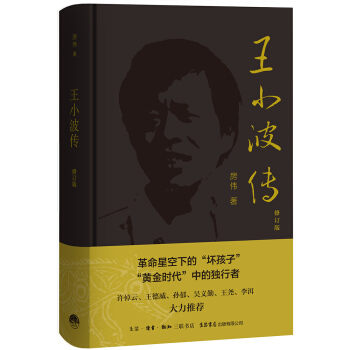 王小波传 pdf epub mobi 下载