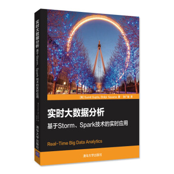 实时大数据分析：基于Storm、Spark技术的实时应用 pdf epub mobi 下载