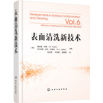 表面清洗新技术 pdf epub mobi 下载