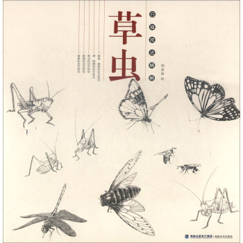 草虫/白描技法精解 pdf epub mobi 下载