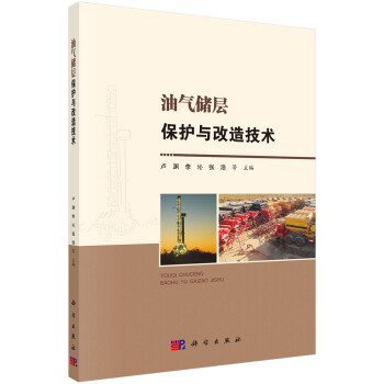 油气储层保护与改造技术 pdf epub mobi 下载
