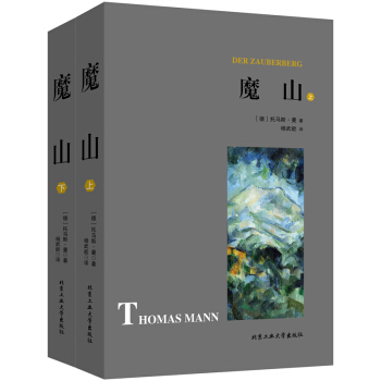 魔山（套裝上下冊） pdf epub mobi 電子書 下載