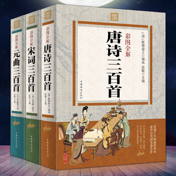 唐诗宋词元曲三百首鉴赏辞典彩图全解唐诗三百首全解诠注全译全集中国诗词大会推荐古诗词鉴赏大全 pdf epub mobi 下载