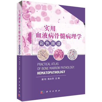 实用血液病骨髓病理学彩色图谱 pdf epub mobi 下载