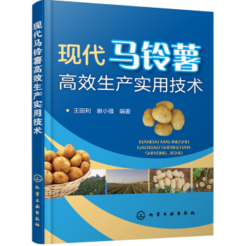 現代馬鈴薯高效生産實用技術 pdf epub mobi 下载