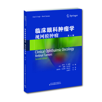 临床眼科肿瘤学：视网膜肿瘤 pdf epub mobi 下载