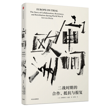 審問歐洲：二戰時期的閤作、抵抗與報復 pdf epub mobi 下载