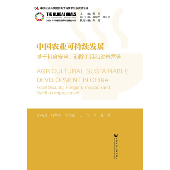 中国农业可持续发展：基于粮食安全、消除饥饿和改善营养 pdf epub mobi 下载