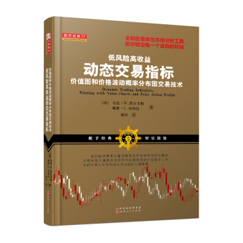 低風險高收益動態交易指標（價值圖和價格波動概率分布圖交易技術股票期貨外匯金融投資書籍） pdf epub mobi 下载