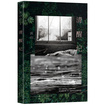 清醒纪 pdf epub mobi 下载