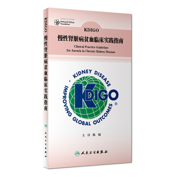 KDIGO慢性腎髒病貧血臨床實踐指南 pdf epub mobi 下载