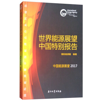 世界能源展望中国特别报告/2017中国能源展望 pdf epub mobi 下载