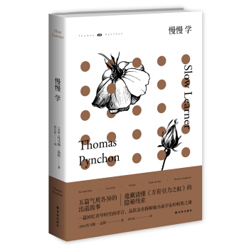 慢慢学 pdf epub mobi 下载