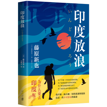 印度放浪 pdf epub mobi 下载