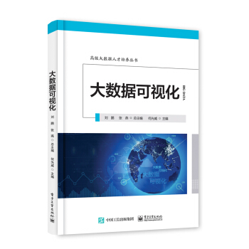 大数据可视化——高级大数据人才培养丛书 pdf epub mobi 下载