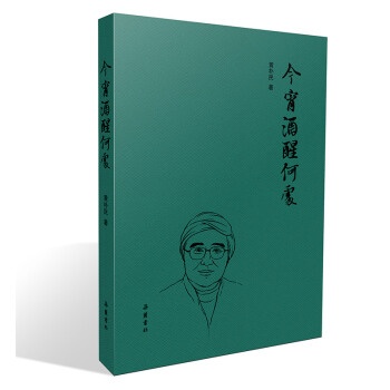 今宵酒醒何處 pdf epub mobi 下载