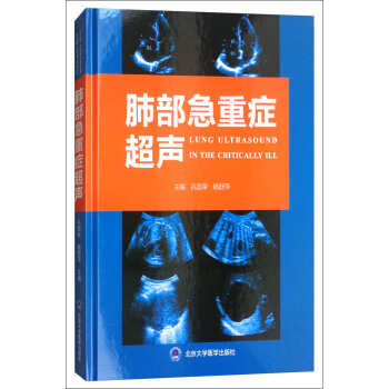 肺部急重癥超聲 [Lung Ultrasound in the Critically Ill] pdf epub mobi 下载