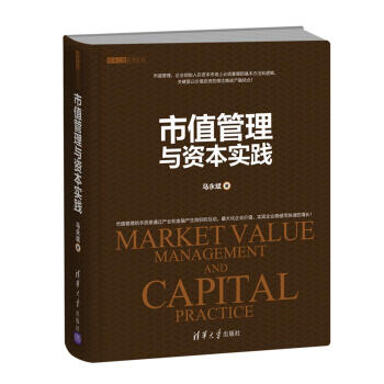 市值管理與資本實踐 pdf epub mobi 下载