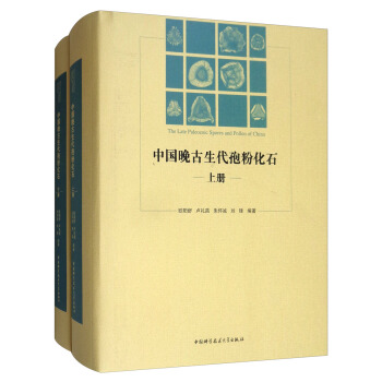 中國晚古生代孢粉化石（套裝上下冊） pdf epub mobi 下载