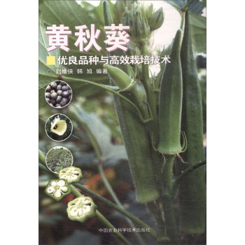 黃鞦葵優良品種與高效栽培技術 pdf epub mobi 下载