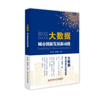 大数据：城市创新发展新动能 pdf epub mobi 下载