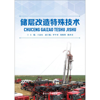 储层改造特殊技术 pdf epub mobi 下载