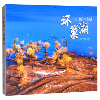 环巢湖行摄指南 pdf epub mobi 下载