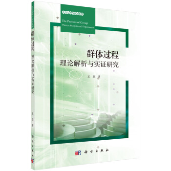 群体过程：理论解析与实证研究 pdf epub mobi 电子书 下载