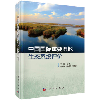 中國國際重要濕地生態係統評價 pdf epub mobi 下载