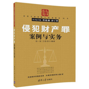 侵犯財産罪案例與實務/法律專傢案例與實務指導叢書 pdf epub mobi 下载