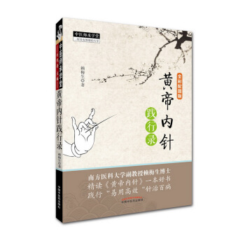 黄帝内针践行录 pdf epub mobi 下载
