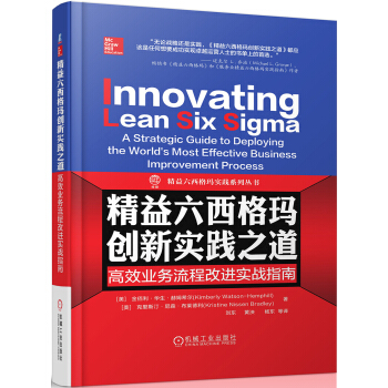 精益六西格玛创新实践之道 高效业务流程改进实战指南 pdf epub mobi 下载