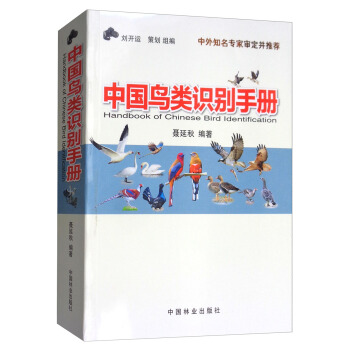 中國鳥類識彆手冊 [Handbook of Chinese Bird Identification] pdf epub mobi 下载