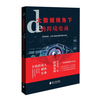大数据视角下的跨境电商——营销实战：从亚马逊运营到谷歌SEM pdf epub mobi 电子书 下载