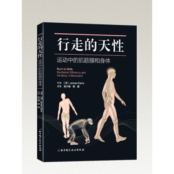 行走的天性—运动中的肌筋膜和身体 [Born to Walk] pdf epub mobi 下载