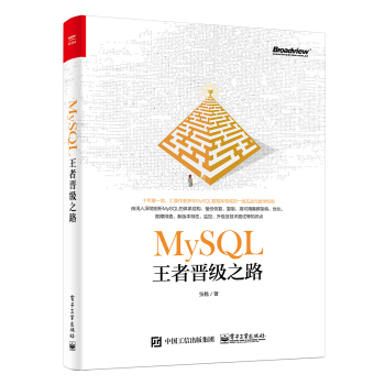 MySQL王者晋级之路 pdf epub mobi 下载