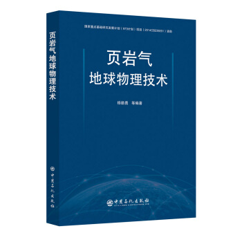 頁岩氣地球物理技術 pdf epub mobi 下载