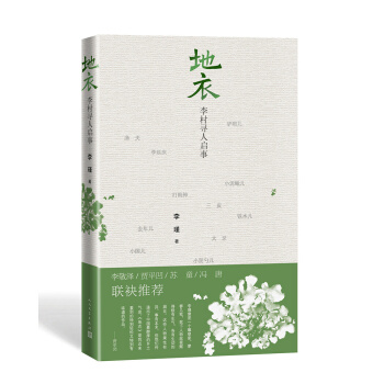 地衣——李村寻人启事》 pdf epub mobi 下载