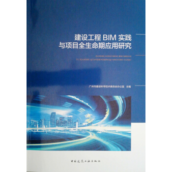 建设工程BIM实践与项目全生命期应用研究 pdf epub mobi 下载