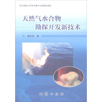 天然氣水閤物勘探開發新技術 pdf epub mobi 下载