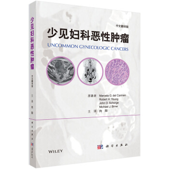 少見婦科惡性腫瘤（中文翻譯版） pdf epub mobi 下载