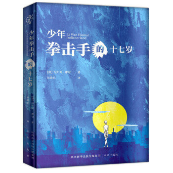 少年拳击手的十七岁 [Es war einmal indianerland] pdf epub mobi 下载