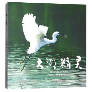 大湖精灵 [Elves of Fulonghu] pdf epub mobi 下载