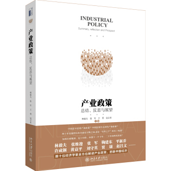 产业政策 总结、反思与展望 pdf epub mobi 电子书 下载