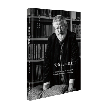 憂傷坐在樹墩上 pdf epub mobi 下载