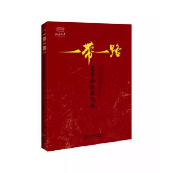 “一带一路”青年命运共同体 pdf epub mobi 下载