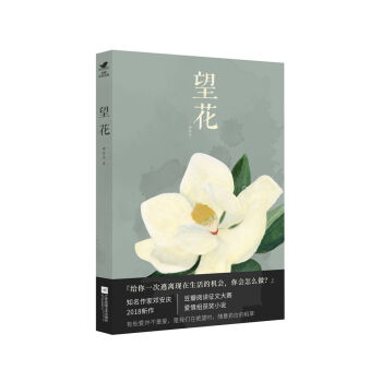 望花 pdf epub mobi 下载